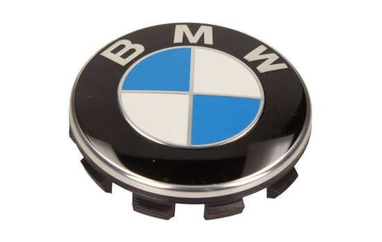 Hub cap