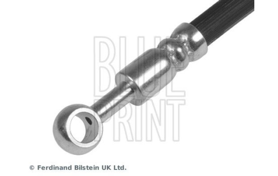 Clutch Hose, Image 5