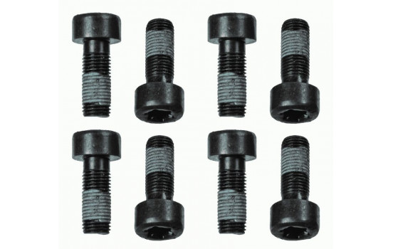 Screw Set, flywheel 1874 000 060 Sachs