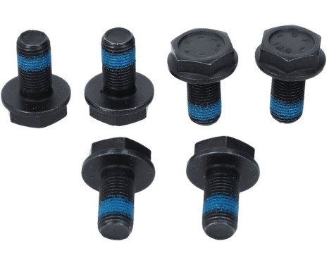 Flywheel 3021 600 290 Sachs, Image 4