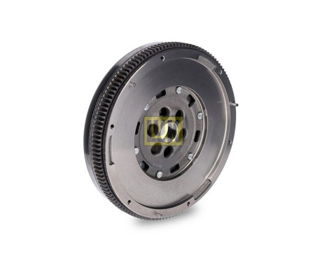 Flywheel LuK DMF 415 0667 10