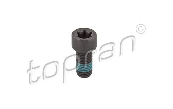 Flywheel screw