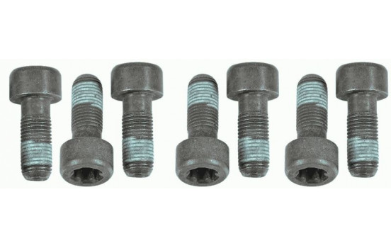 SACHS SCREW SET 1874 000 054