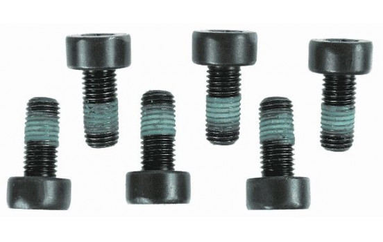 Screw Set, flywheel 1874 000 004 Sachs