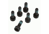 Screw set, flywheel 1874 000 047 Sachs