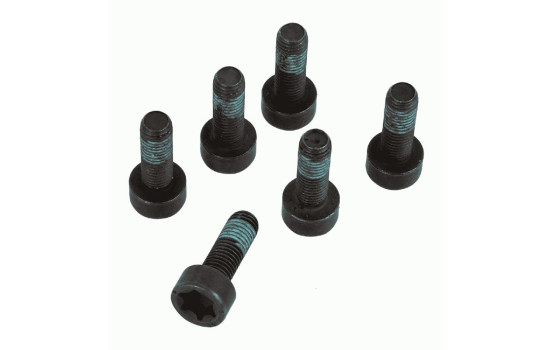 Screw set, flywheel 1874 000 047 Sachs