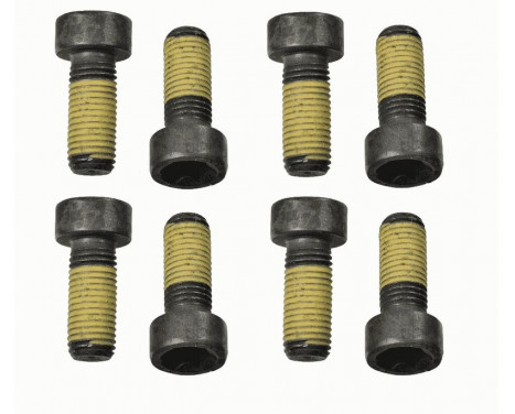 Screw Set, flywheel 1874 000 048 Sachs, Image 2