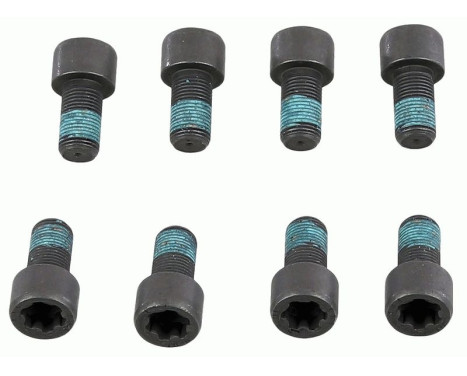 Screw set, flywheel 1874 000 078 Sachs