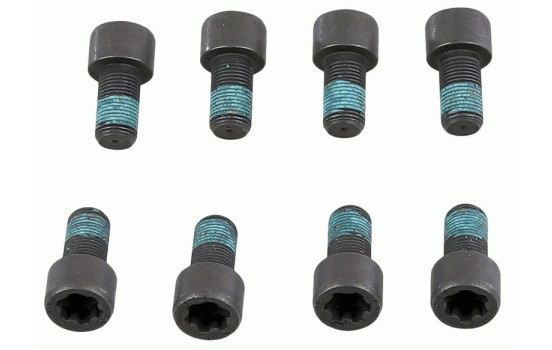 Screw set, flywheel 1874 000 078 Sachs