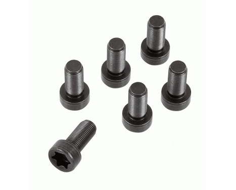 Screw set, flywheel 1874 000 082 Sachs