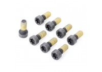 Screw Set, flywheel 411 0133 11 LUK