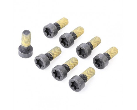 Screw Set, flywheel 411 0166 10 LUK