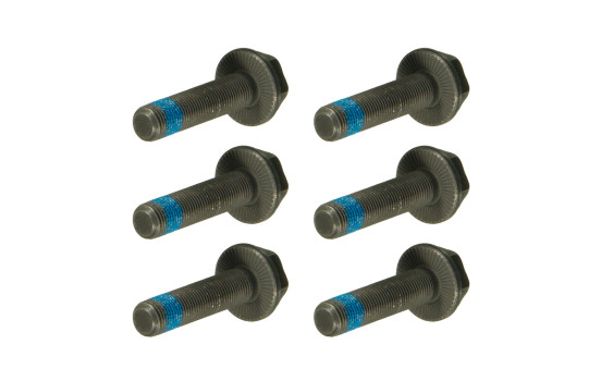 Screw Set, flywheel ADV183316 Blue Print