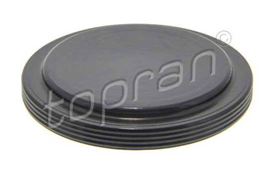 Flange cover, gear