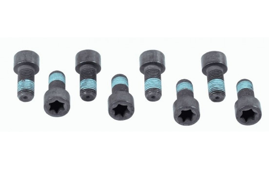Screw Set, flywheel 1874 000 032 Sachs