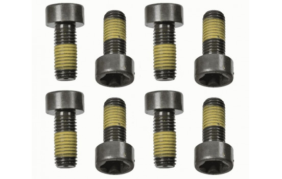 Screw Set, flywheel 1874 000 058 Sachs