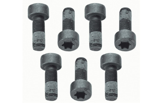 Screw Set, flywheel 1874 000 040 Sachs