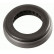 Releaser 3163 900 001 Sachs