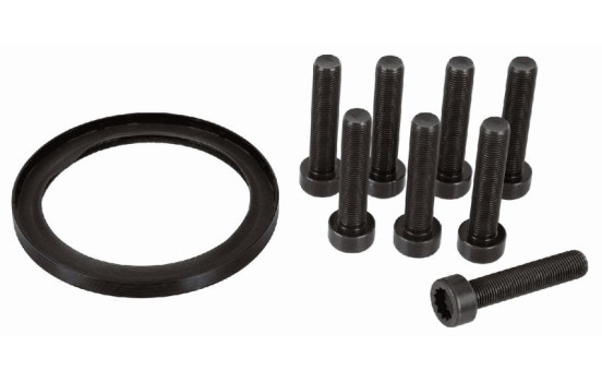 Repair kit, flywheel 3423 601 009 Sachs