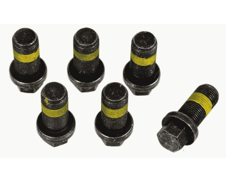 SACHS SCREW SET 1874 000 069