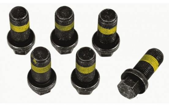 SACHS SCREW SET 1874 000 069