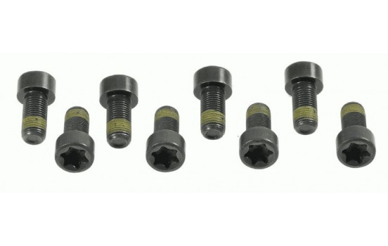 Screw Set, flywheel 1874 000 006 Sachs