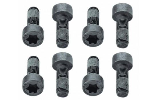 Screw Set, flywheel 1874 000 010 Sachs