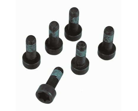 Screw set, flywheel 1874 000 047 Sachs