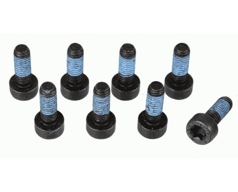 Screw Set, flywheel 1874 000 073 Sachs
