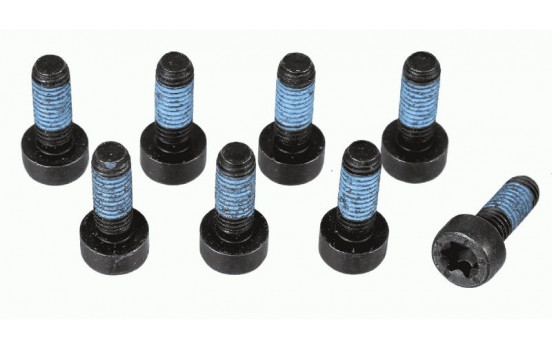 Screw Set, flywheel 1874 000 073 Sachs