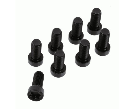 Screw set, flywheel 1874 000 081 Sachs