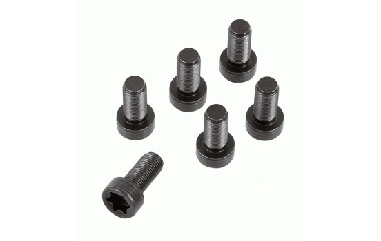 Screw set, flywheel 1874 000 082 Sachs