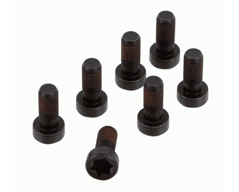 Screw set, flywheel 1874 000 083 Sachs