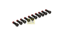 Screw Set, flywheel 411 0139 10 LUK
