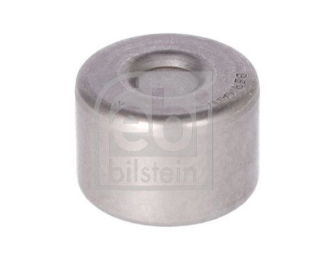 Bearing, shift rod