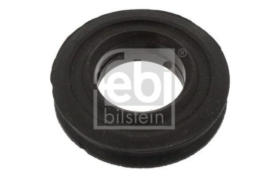 Bushing, Shift Rod