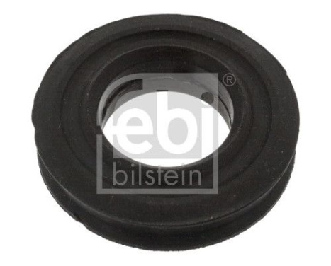 Bushing, Shift Rod