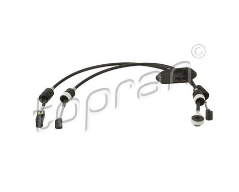 Cable, gear