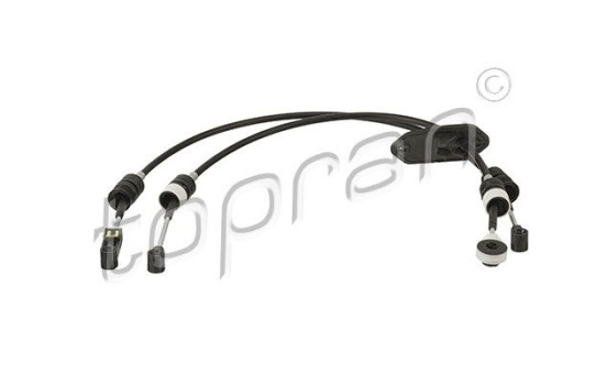 Cable, gear