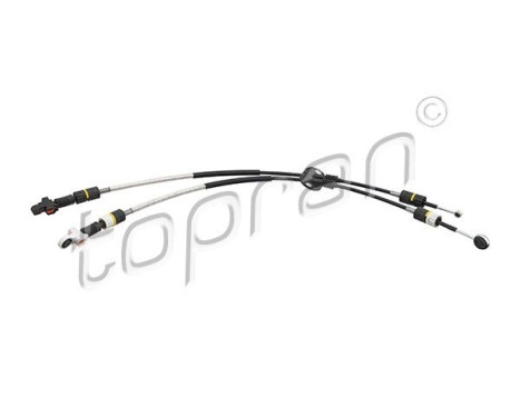 Cable, gear