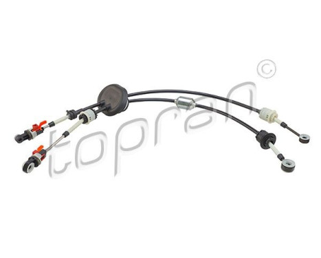 Cable, gear
