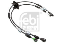 Cable, gear