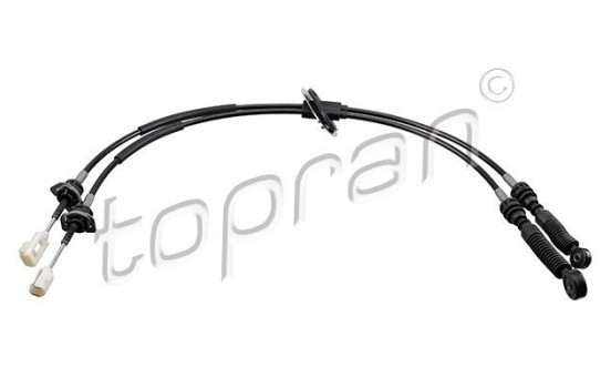 Cable, gear