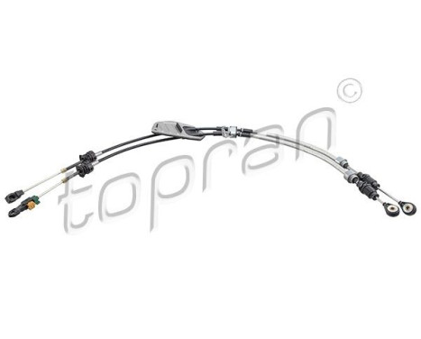 Cable, gear