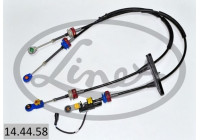 Cable, gear