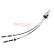 Cable, gear