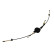 Cable, gear