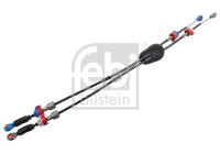 Cable, gear