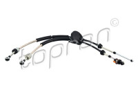 Cable, gear