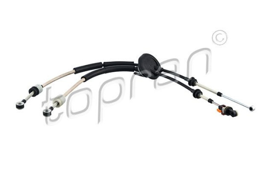 Cable, gear